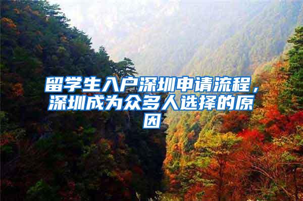 留学生入户深圳申请流程，深圳成为众多人选择的原因