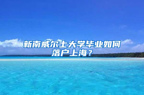 新南威尔士大学毕业如何落户上海？