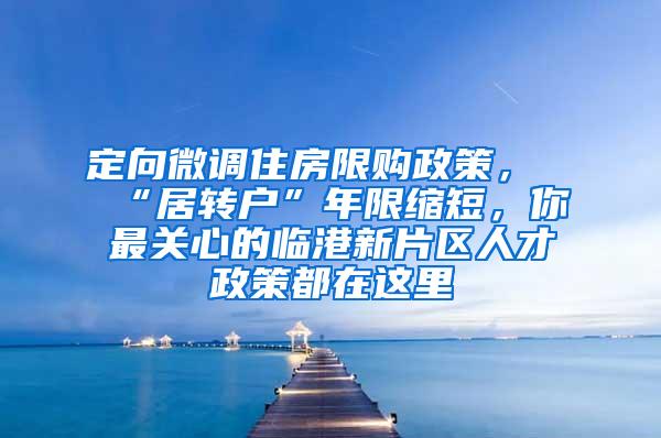 定向微调住房限购政策，“居转户”年限缩短，你最关心的临港新片区人才政策都在这里