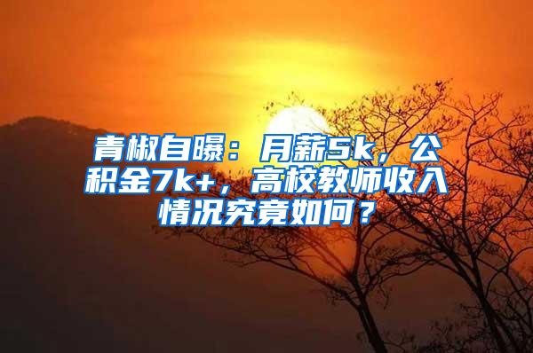 青椒自曝：月薪5k，公积金7k+，高校教师收入情况究竟如何？