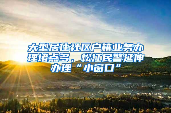 大型居住社区户籍业务办理堵点多，松江民警延伸办理“小窗口”