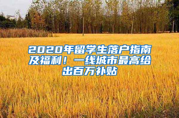 2020年留学生落户指南及福利！一线城市最高给出百万补贴