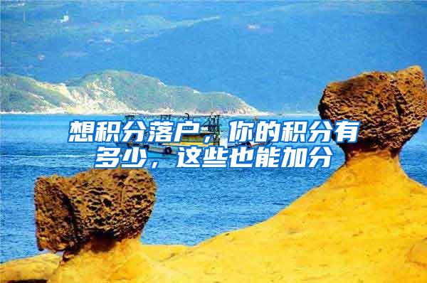 想积分落户，你的积分有多少，这些也能加分