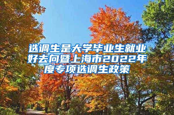 选调生是大学毕业生就业好去向暨上海市2022年度专项选调生政策