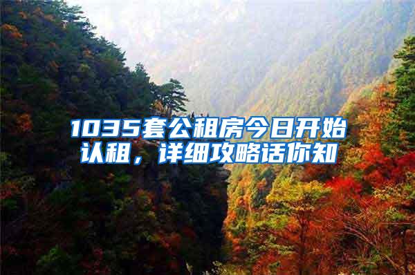 1035套公租房今日开始认租，详细攻略话你知