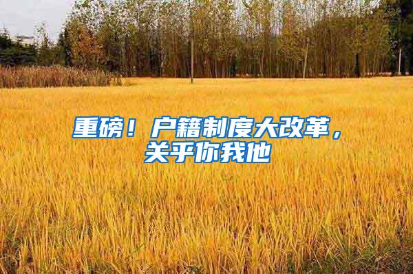 重磅！户籍制度大改革，关乎你我他