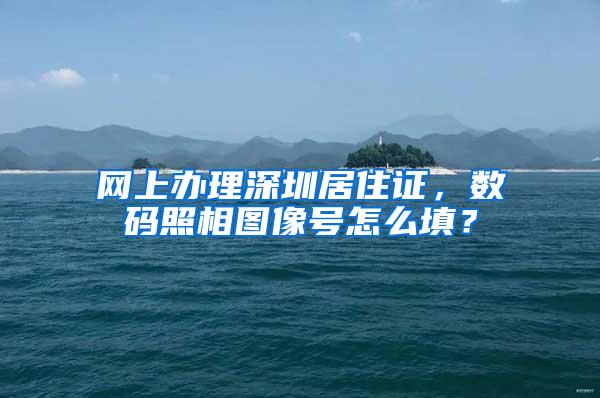网上办理深圳居住证，数码照相图像号怎么填？