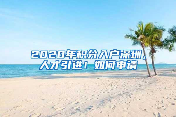2020年积分入户深圳，人才引进！如何申请