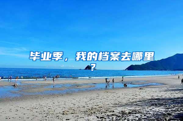 毕业季，我的档案去哪里？