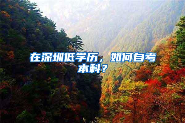 在深圳低学历，如何自考本科？