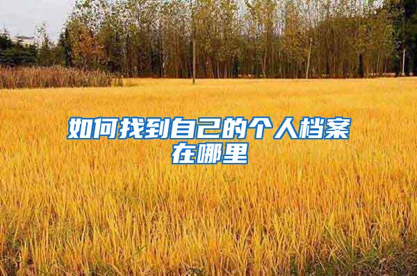如何找到自己的个人档案在哪里