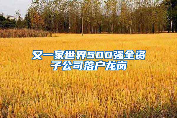 又一家世界500强全资子公司落户龙岗