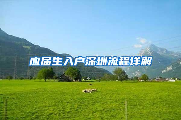应届生入户深圳流程详解
