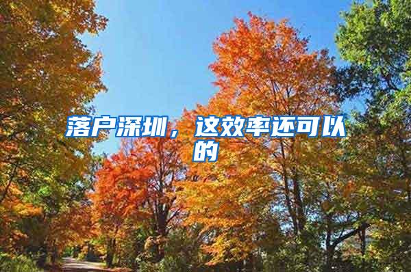 落户深圳，这效率还可以的