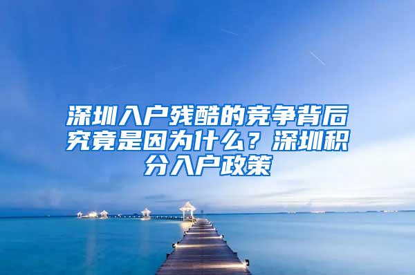 深圳入户残酷的竞争背后究竟是因为什么？深圳积分入户政策