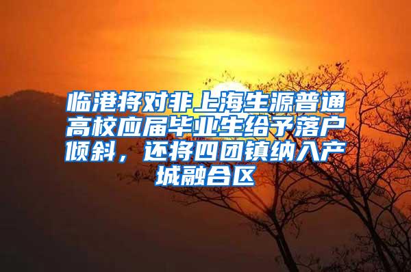 临港将对非上海生源普通高校应届毕业生给予落户倾斜，还将四团镇纳入产城融合区