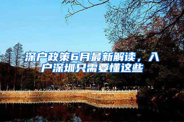 深户政策6月最新解读，入户深圳只需要懂这些