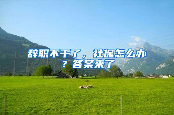 辞职不干了，社保怎么办？答案来了