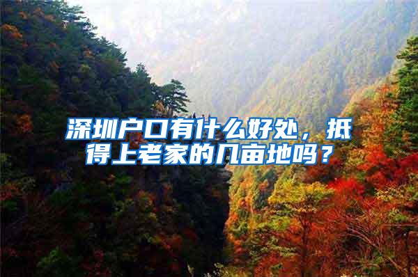 深圳户口有什么好处，抵得上老家的几亩地吗？