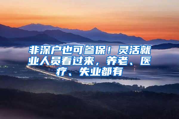非深户也可参保！灵活就业人员看过来，养老、医疗、失业都有