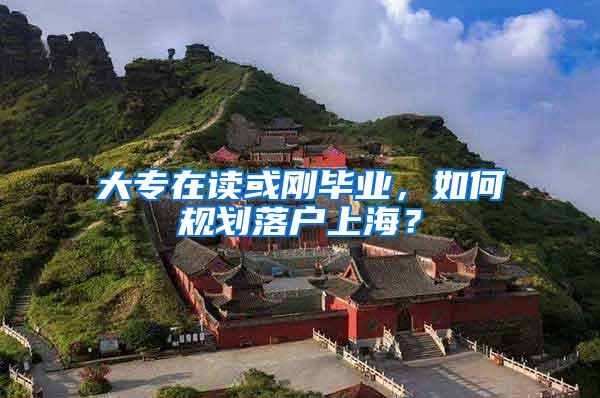 大专在读或刚毕业，如何规划落户上海？