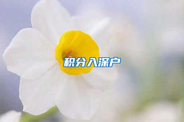积分入深户