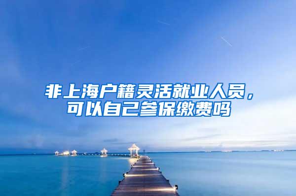 非上海户籍灵活就业人员，可以自己参保缴费吗