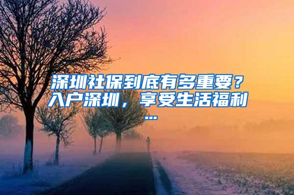 深圳社保到底有多重要？入户深圳，享受生活福利…