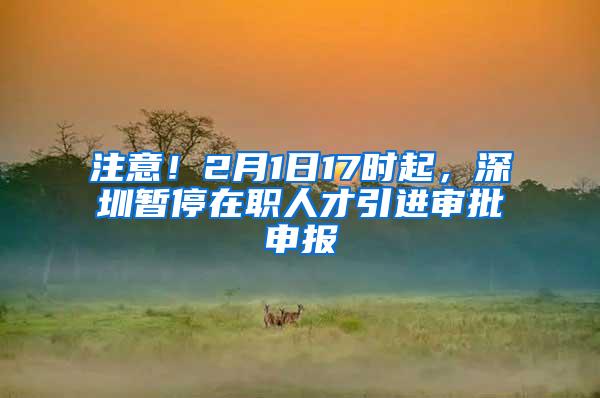 注意！2月1日17时起，深圳暂停在职人才引进审批申报