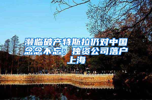 濒临破产特斯拉仍对中国念念不忘：独资公司落户上海