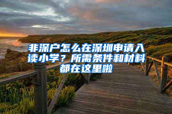 非深户怎么在深圳申请入读小学？所需条件和材料都在这里啦