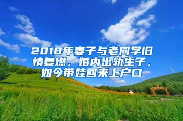 2018年妻子与老同学旧情复燃，婚内出轨生子，如今带娃回来上户口
