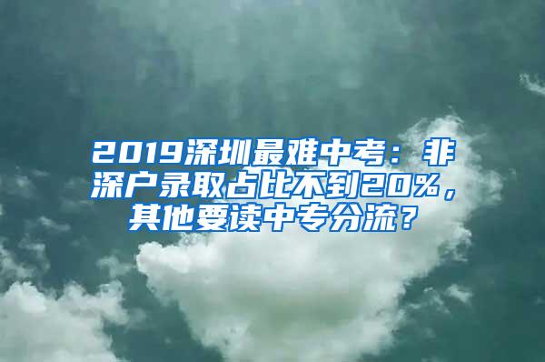2019深圳最难中考：非深户录取占比不到20%，其他要读中专分流？