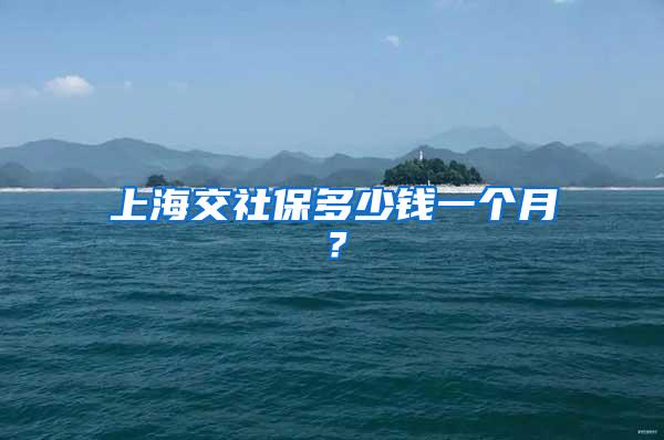 上海交社保多少钱一个月？