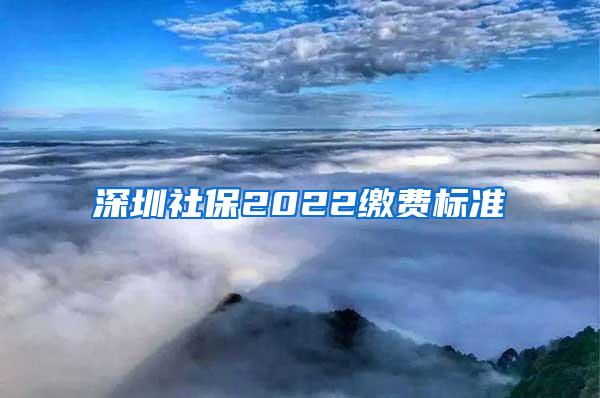 深圳社保2022缴费标准