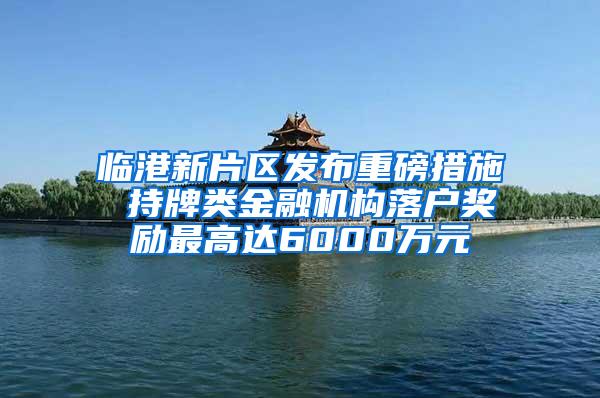 临港新片区发布重磅措施 持牌类金融机构落户奖励最高达6000万元