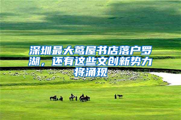 深圳最大茑屋书店落户罗湖，还有这些文创新势力将涌现