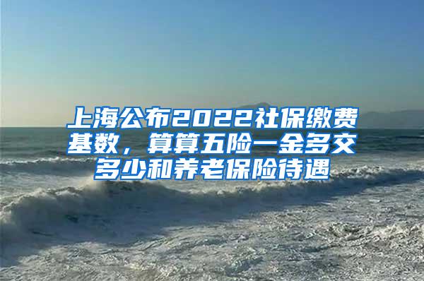 上海公布2022社保缴费基数，算算五险一金多交多少和养老保险待遇