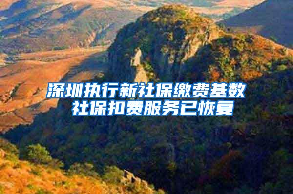 深圳执行新社保缴费基数 社保扣费服务已恢复