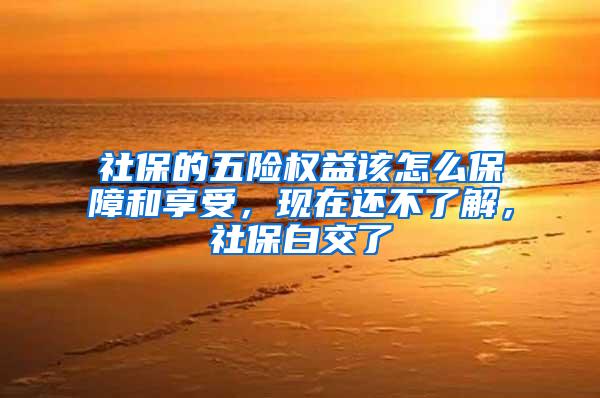 社保的五险权益该怎么保障和享受，现在还不了解，社保白交了