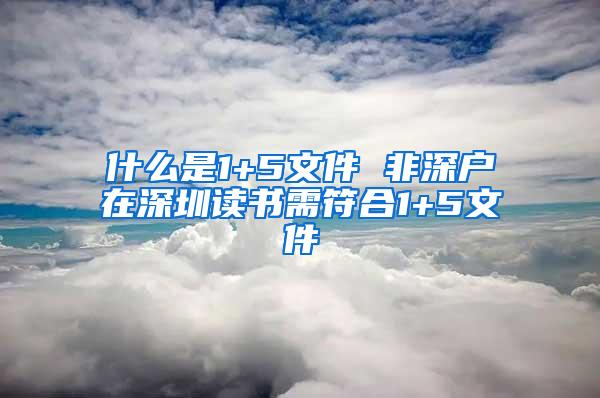 什么是1+5文件 非深户在深圳读书需符合1+5文件