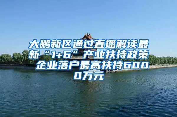 大鹏新区通过直播解读最新“1+6”产业扶持政策 企业落户最高扶持6000万元
