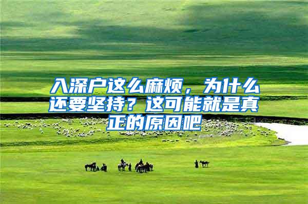 入深户这么麻烦，为什么还要坚持？这可能就是真正的原因吧