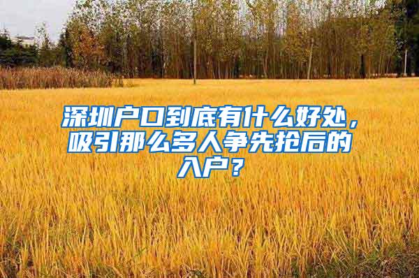 深圳户口到底有什么好处，吸引那么多人争先抢后的入户？