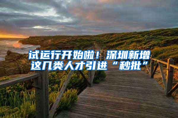 试运行开始啦！深圳新增这几类人才引进“秒批”