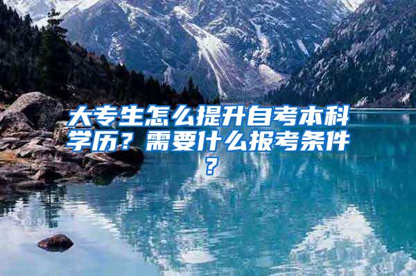 大专生怎么提升自考本科学历？需要什么报考条件？