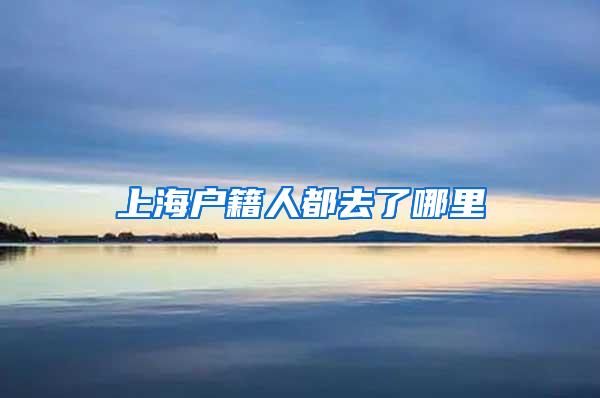 上海户籍人都去了哪里