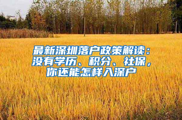 最新深圳落户政策解读：没有学历、积分、社保，你还能怎样入深户