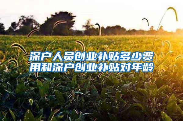 深户人员创业补贴多少费用和深户创业补贴对年龄