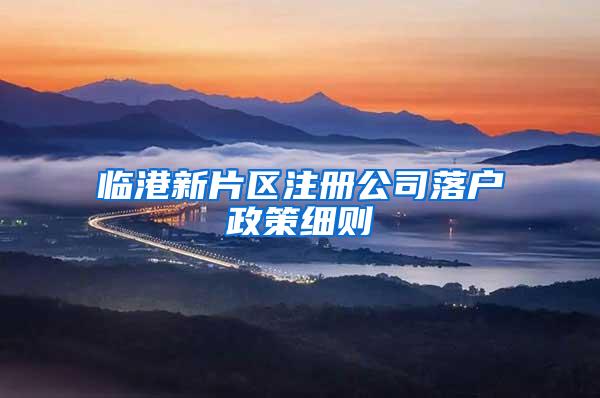 临港新片区注册公司落户政策细则